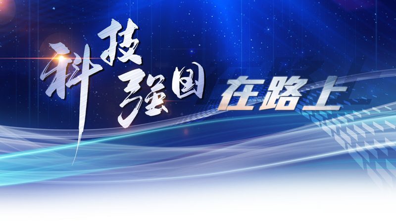 知识图谱存储方案：构建智能时代的基石