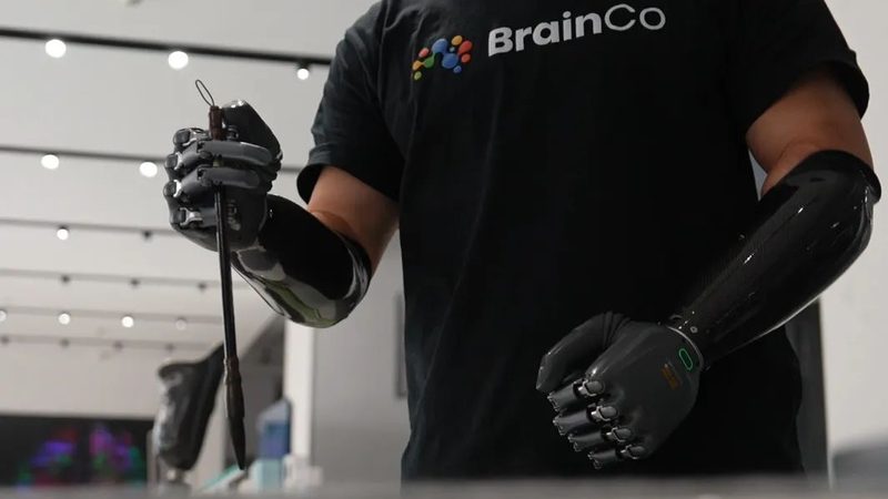 企业搜索定制开发：构建高效信息检索的秘籍